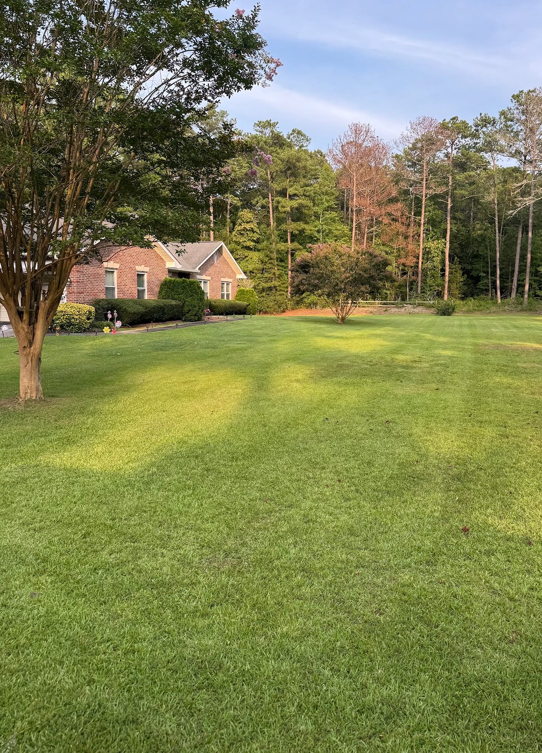 Lawn maintenance in Bremen Georgia 